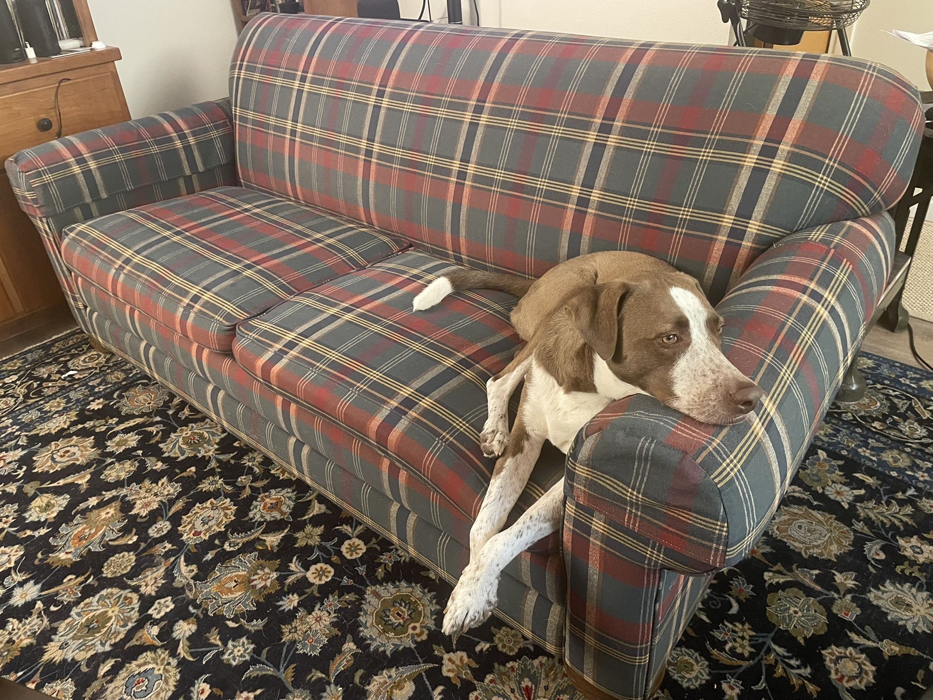 Lazy Boy With Queen Hide-a-Bed