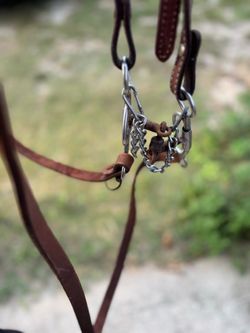 Western saddle size 16 inches and saddle rack goes with it and bridal