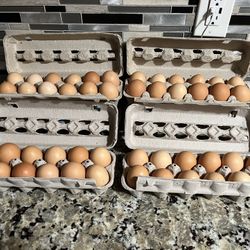 Fresh Eggs 