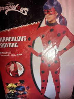 Ladybug costume