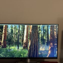 Dell S2422HZ 24-inch FHD 1920 x 1080 FreeSync 75Hz Video Conferencing Monitor
