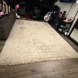 Beige Rug  7x 10 