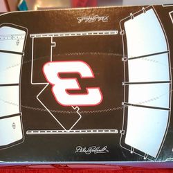 Dale Earnhardt Tissues