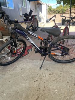 Schwinn Ranger Bike kids