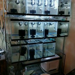 I Have A Fish Grow Out System That Has A Over Flow And Self Drain Firm On Price Pick Up Only And I Have Alot Of Extras For It