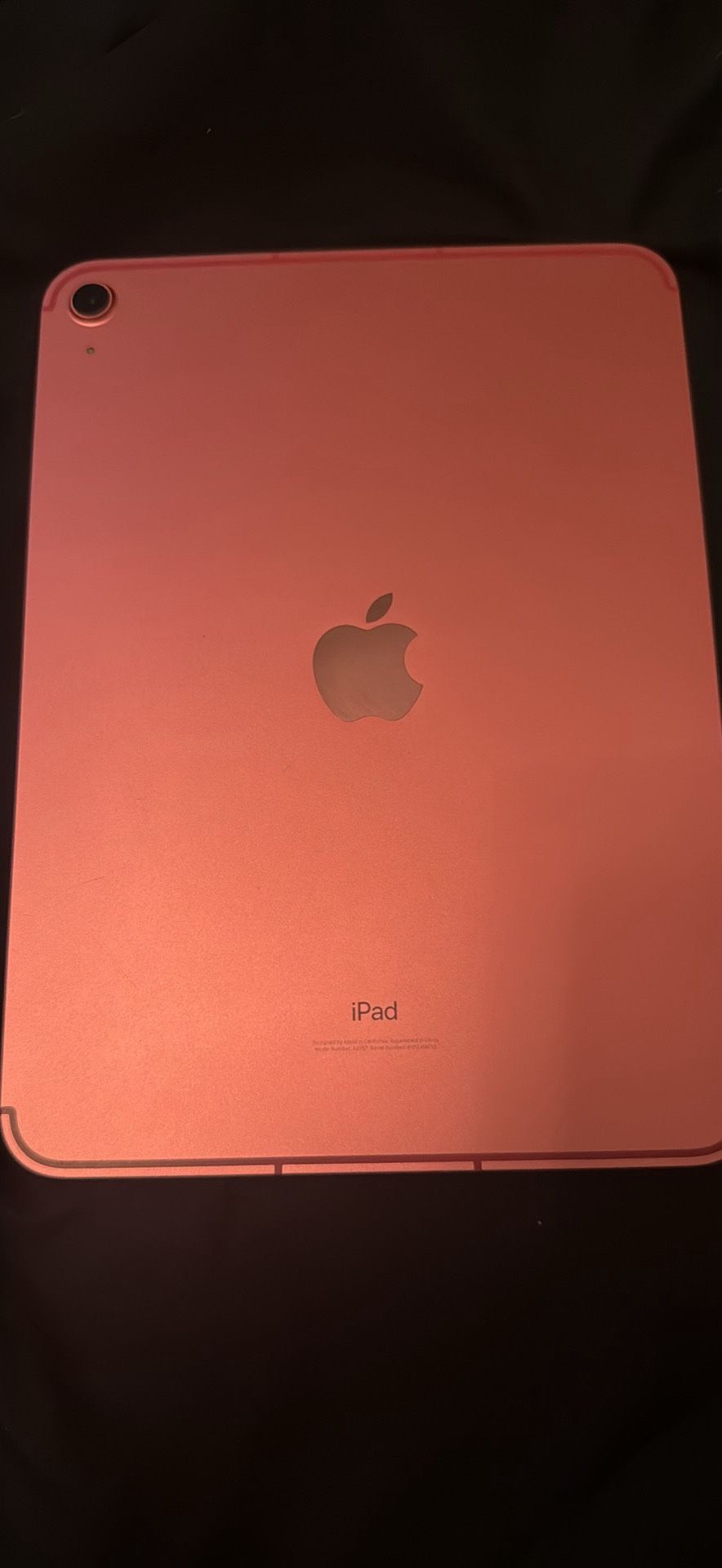 iPad 10th Generation (Pink)