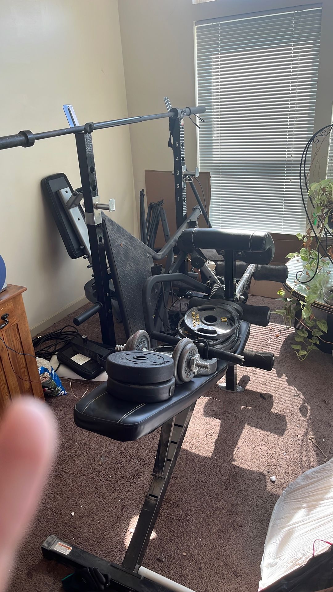 Bow Flex and a weight bench