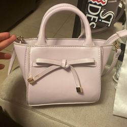 Small Purple Purse