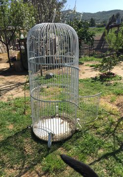 Parrot cage