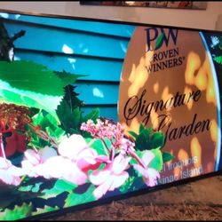 55" Hisiense Google Android Smart Tv 4k Great Condition No Legs It Was Mounted.  Great Quality Pic Come With Original Remote 