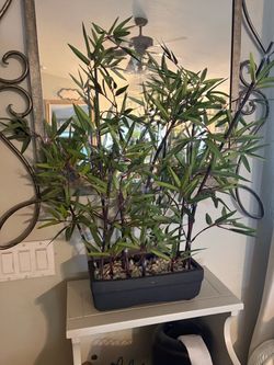 Artificial Bamboo Plant in Dark Planter