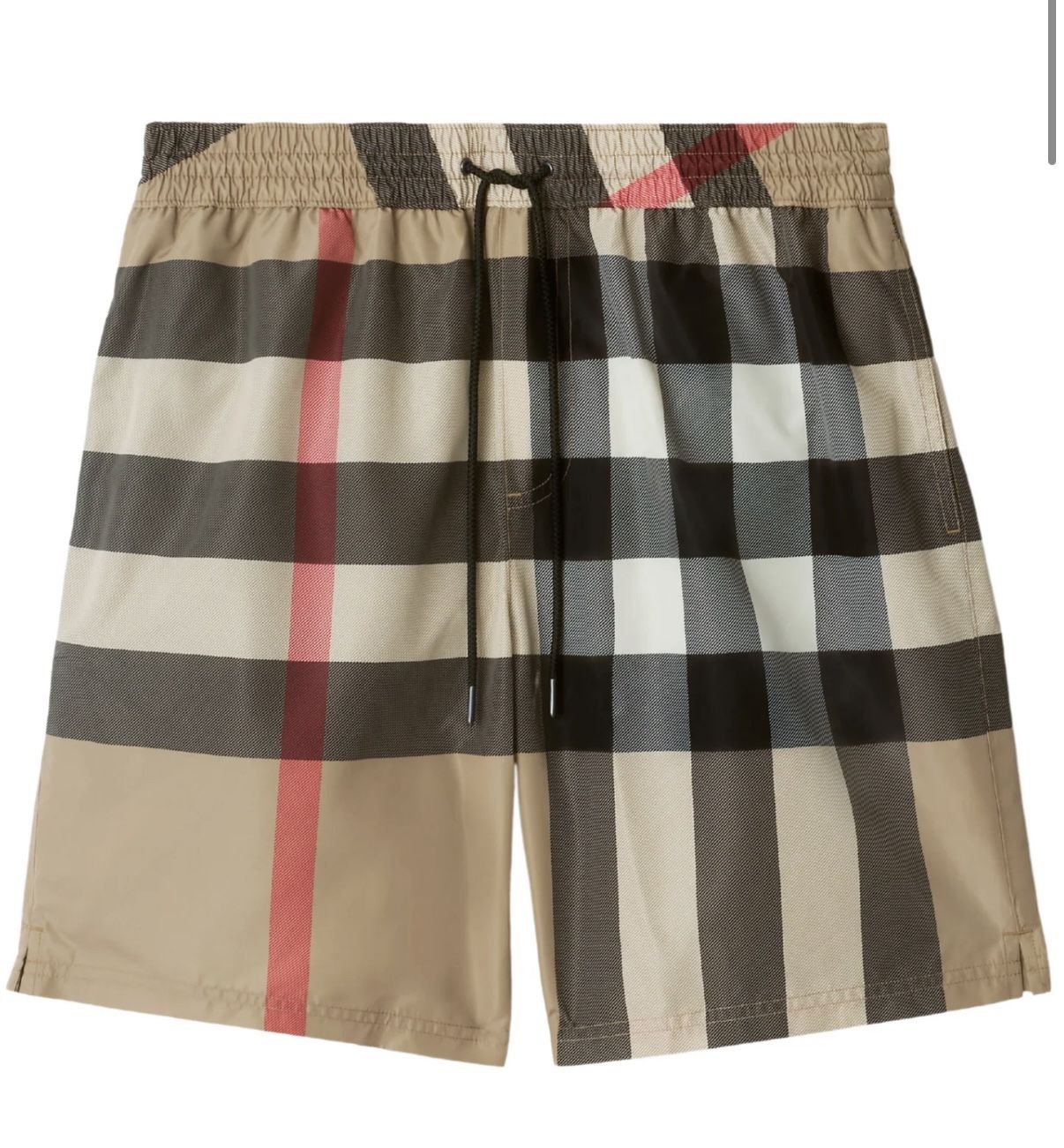 Burberry Swim Trunks/shorts