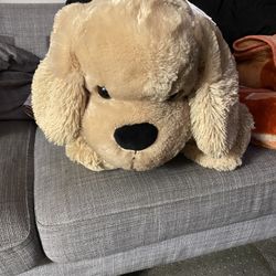 Teddy/ Stuffed Dog