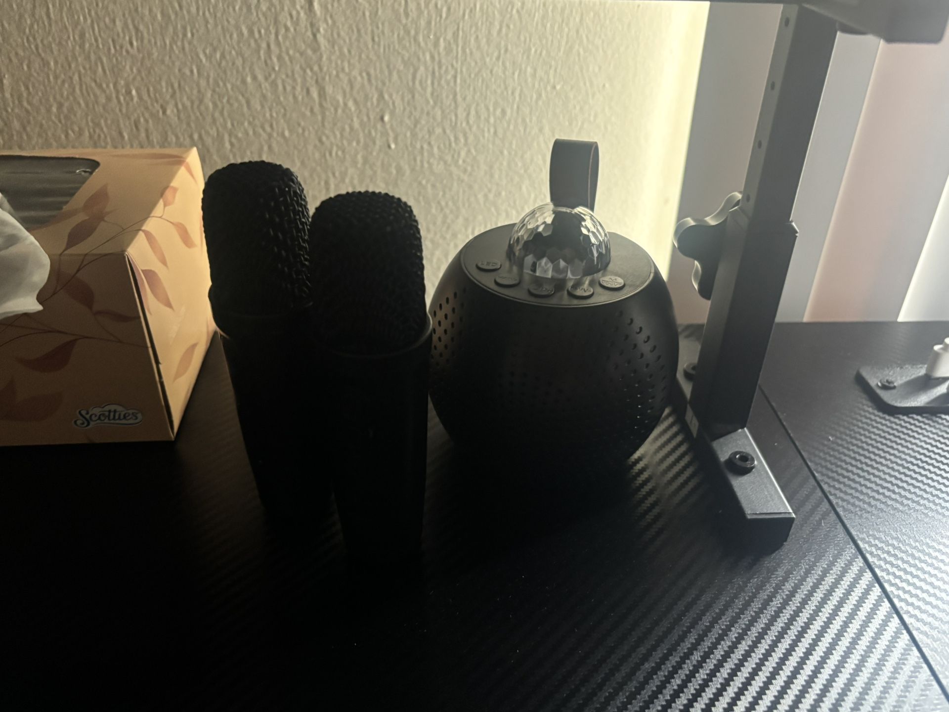 Mini Black Karaoke Machine With Mics