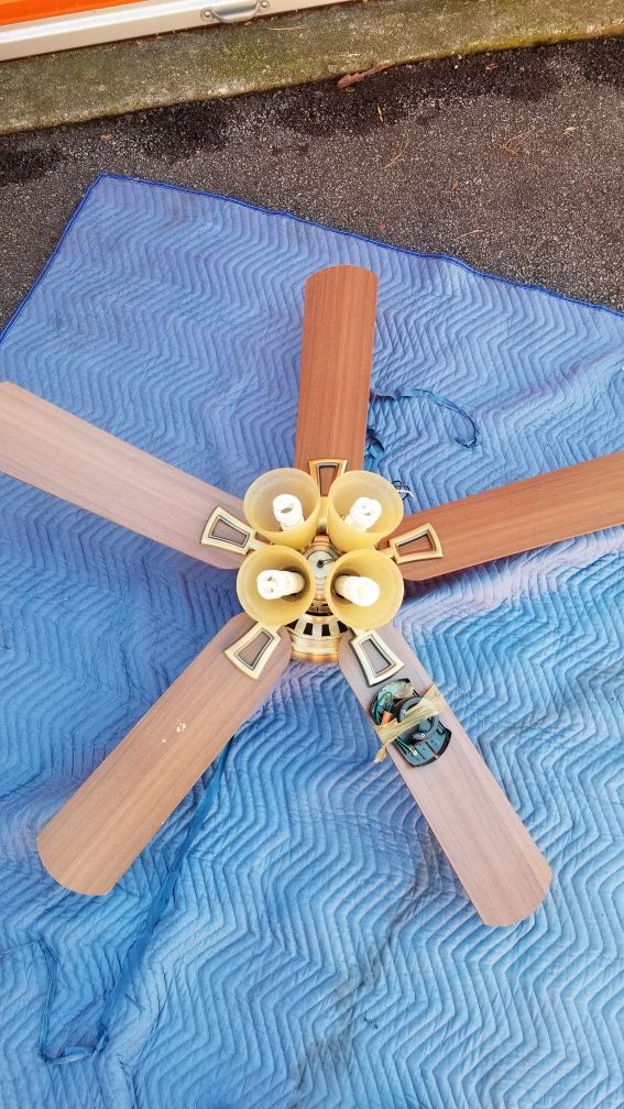 Ceiling Fan
