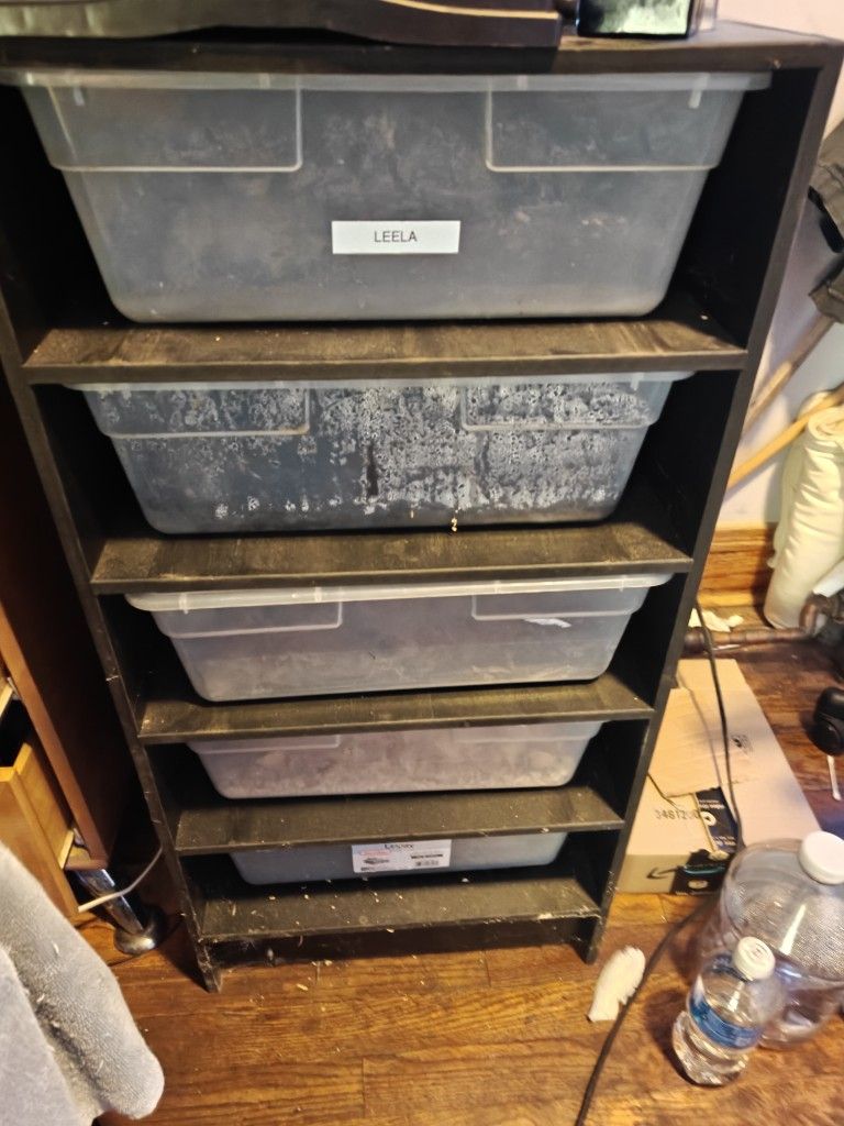 Snake Rack And Incubator