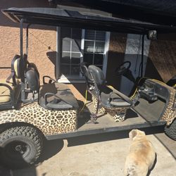 R/T Golfcart  6 Seater