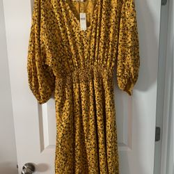 Anthropologie Dress Brand New 168$ Retail
