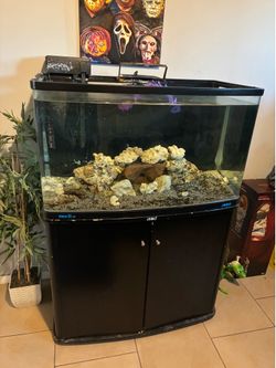 50 gallon