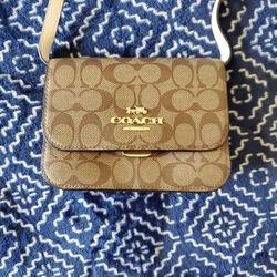 Coach Small Bag