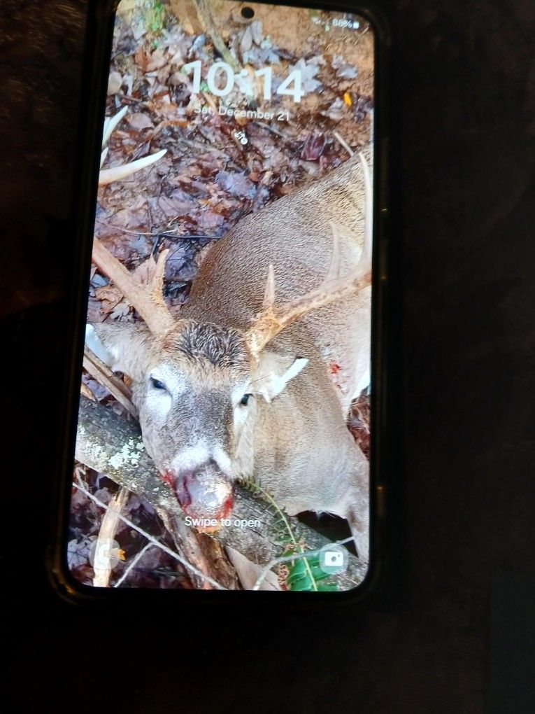 Samsung Galaxy S22 5G