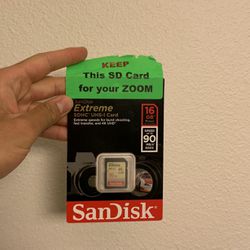 Sans Disk memory card