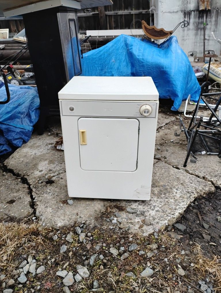 Electric Dryer 110 Plug In