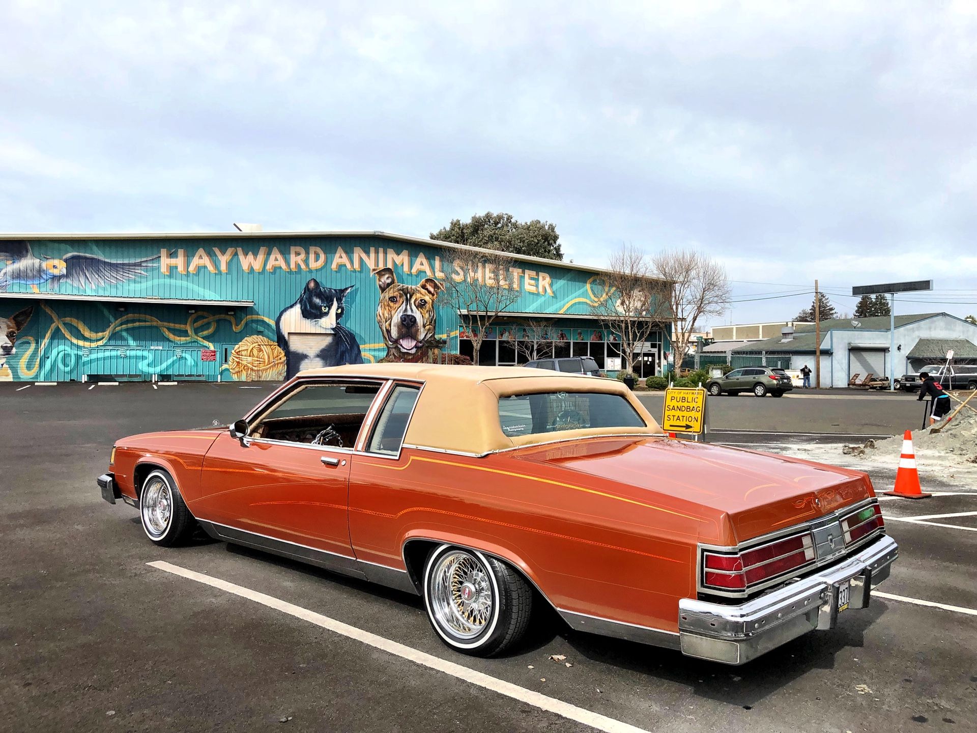 Buick electra sale lowrider