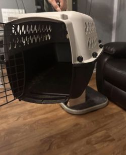 Pet Carrier 