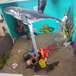 Gray Whale Diorama