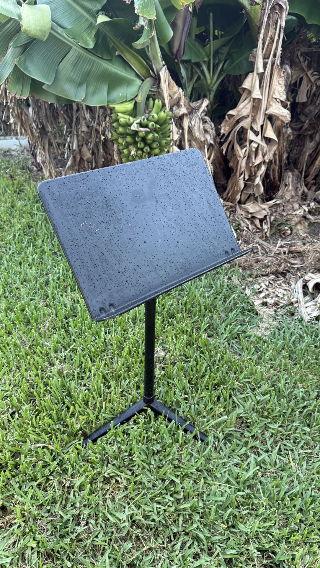 Wenger Music Stand