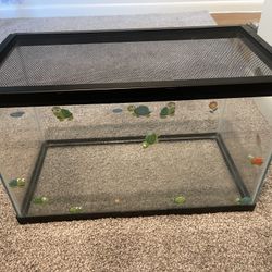 Tank 10,gallon
