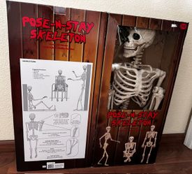 USED, with boxes - Two 5ft Pose-N-Stay Skeletons