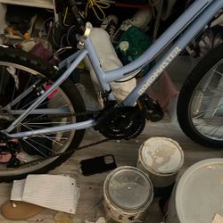 Roadmaster Girls Bike