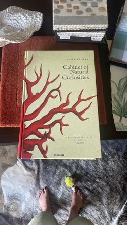 Large Art Book