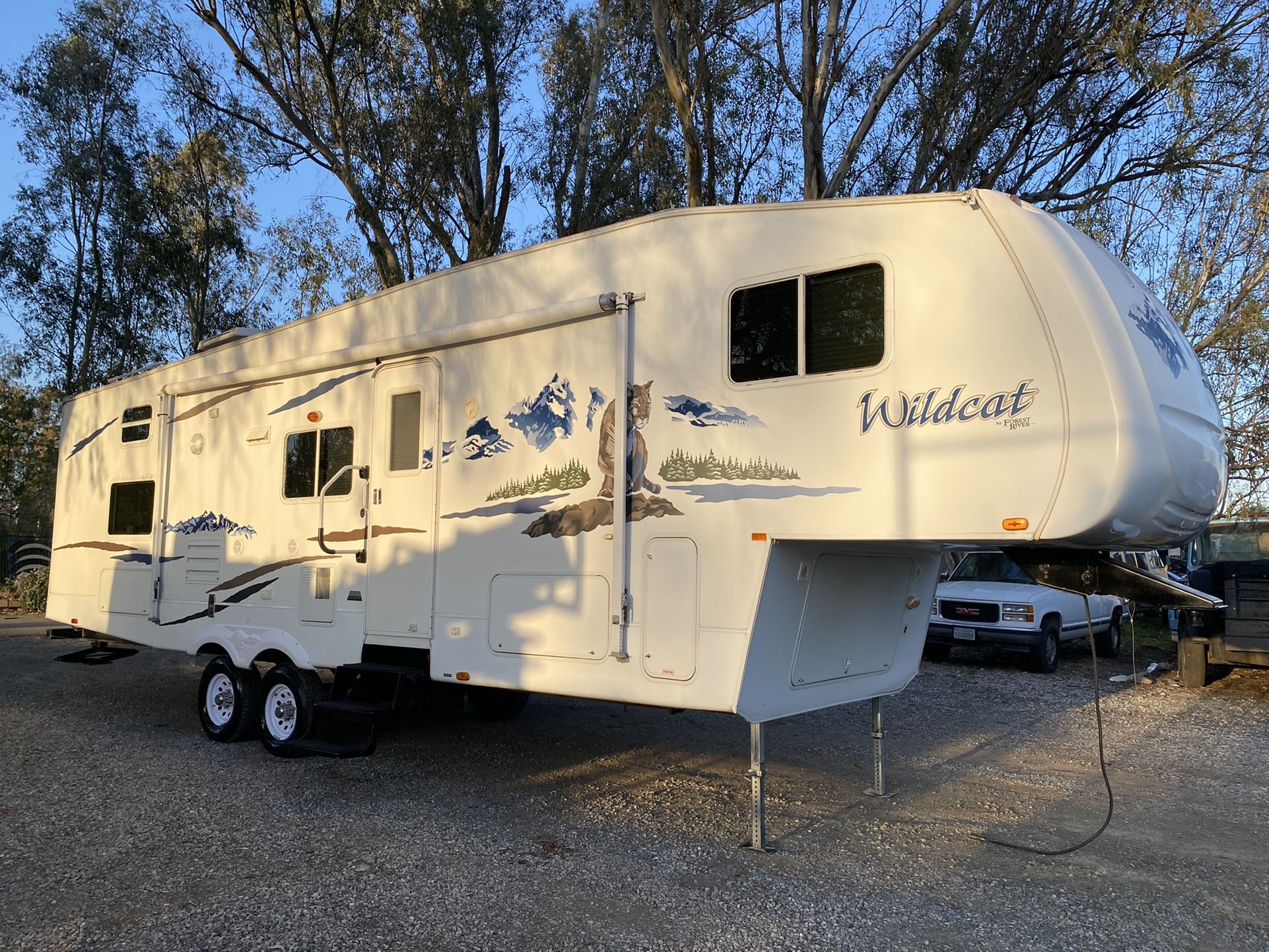 2007 Forest River Wildcat