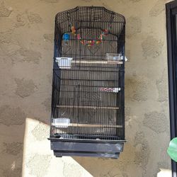 Bird Cage