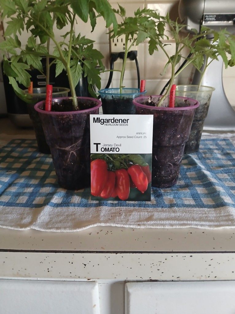 Plants