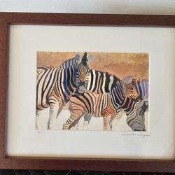 Framed Colorful Zebra 