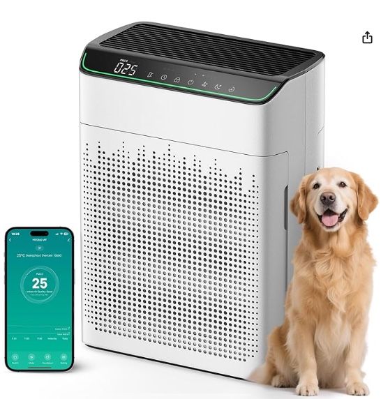 Air Purifiers for Home Large Room