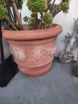 Italian "Firenze" Terracotta Pot (

