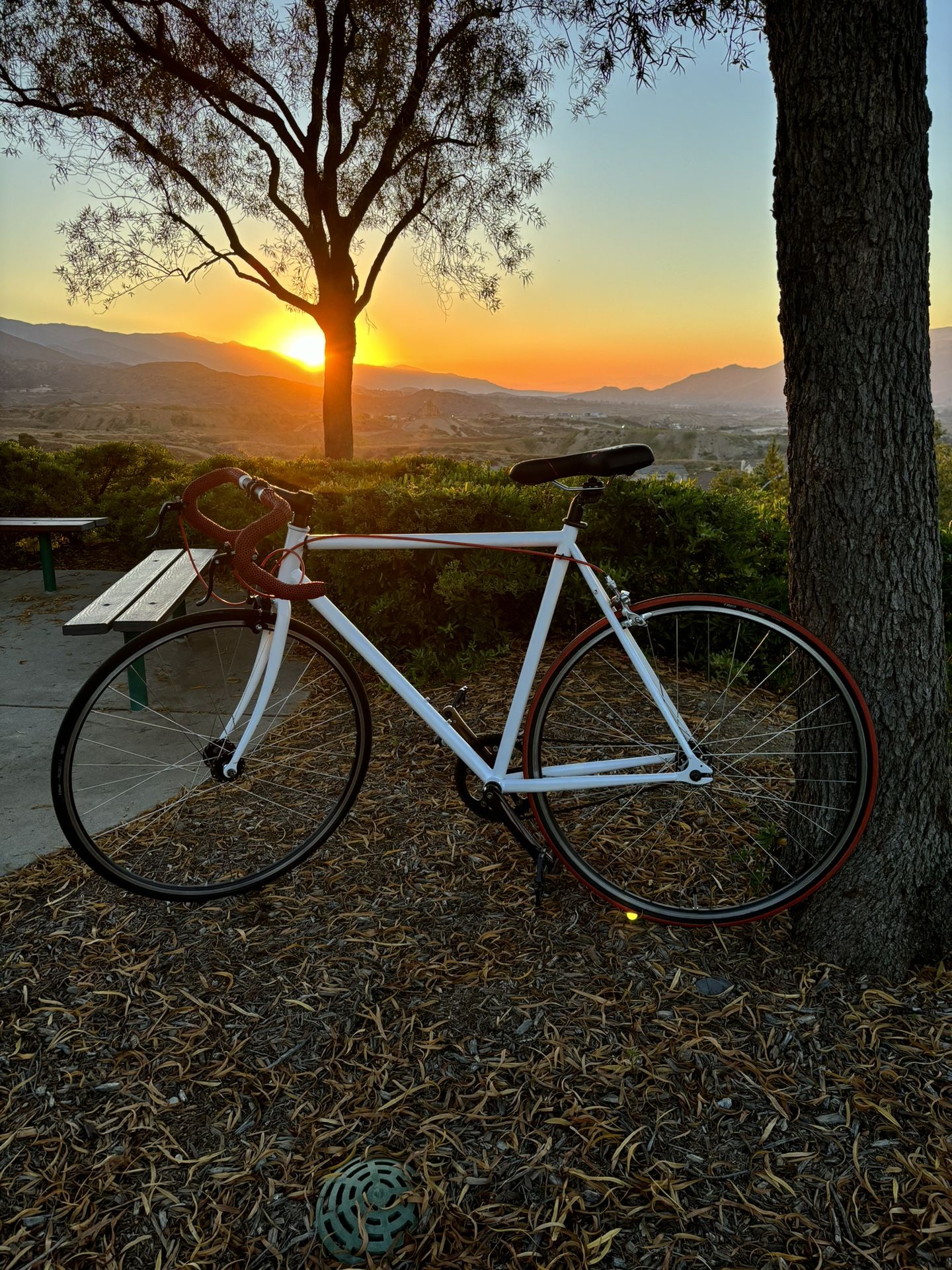2009 Windsor The Hour Single Speed/Fixed Gear Road Bike