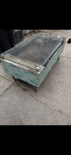 Outdoor Succulent Table