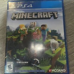 Minecraft disk Version