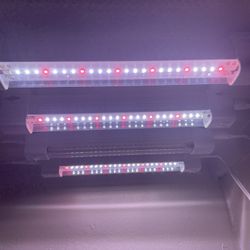 Full Spectrum Grow Lights For Plants 