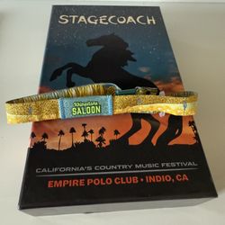 Stagecoach Rhinstone Saloon Pass