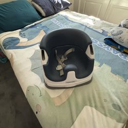 Ingenuity High Chair Booster Seat