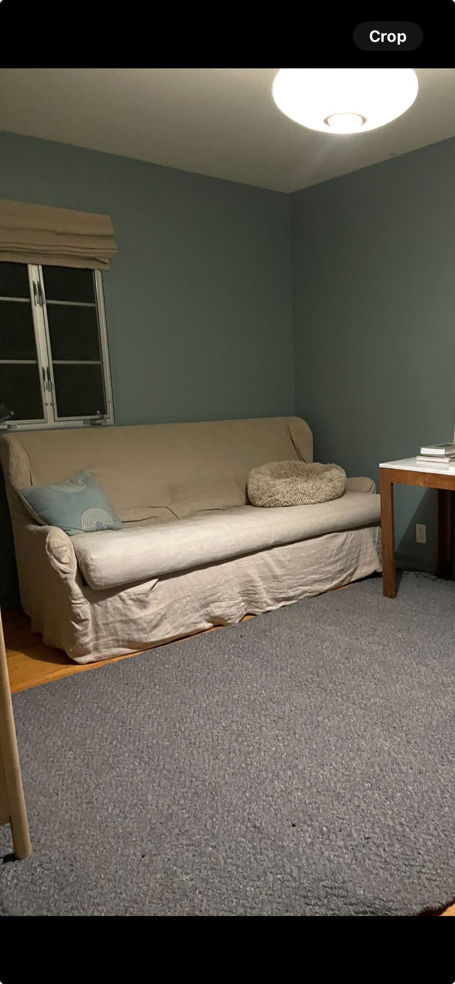 Cisco Sleeper Couch (free)