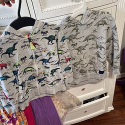 Boy Dino Sweaters