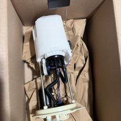 Ford F150 Fuel Pump